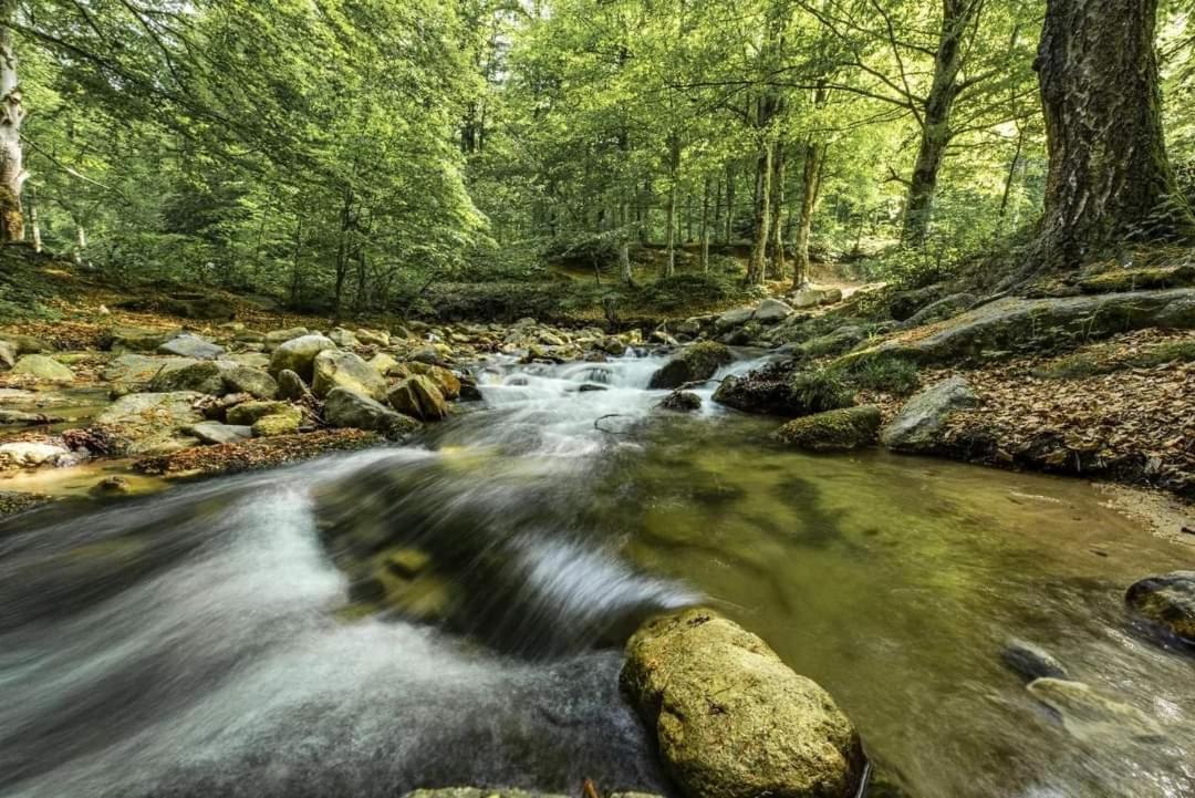 Hotel Trayal Kruševac Esterno foto